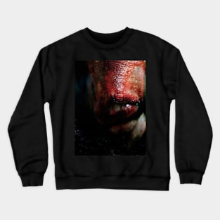 Portrait, digital collage, special processing. Weird. Alien mouth. Colorful. Crewneck Sweatshirt